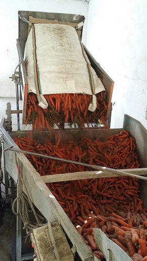 lavadero de zanahorias en segovia