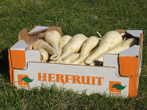 herfruit hortalizas