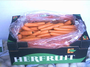 hortalizas herfruit