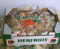 hortalizas herfruit