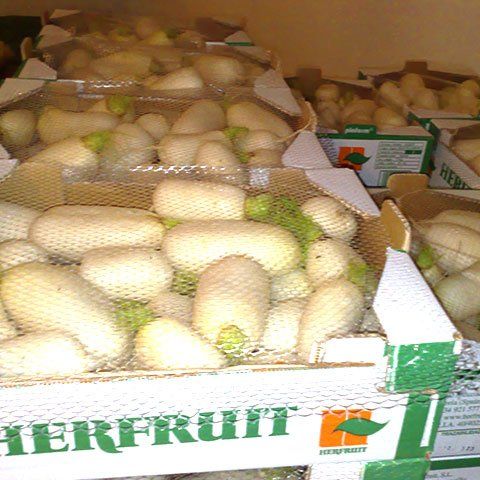 Nabos Herfruit