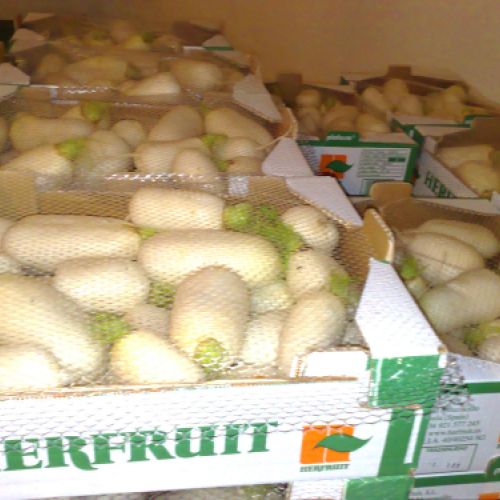 Caja con nabos preparados para distribución