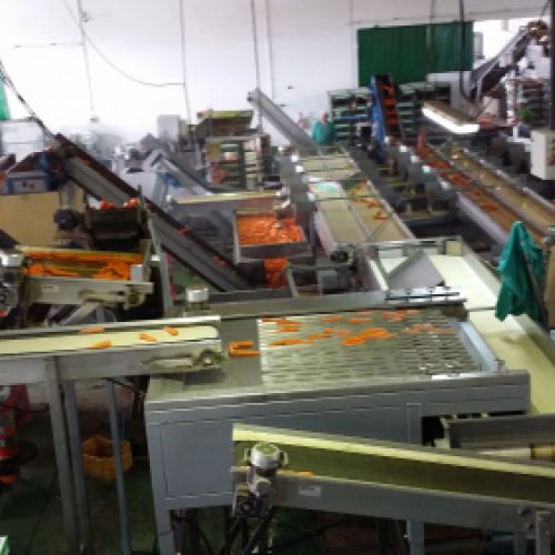 Vista de nave grande con máquinas