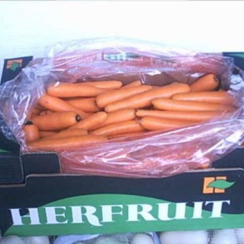 hortalizas herfruit