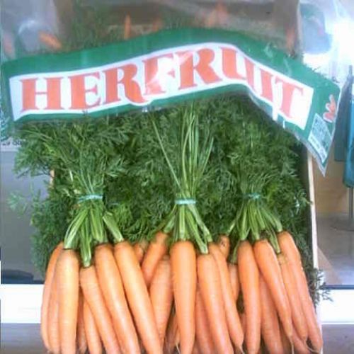 hortalizas herfruit