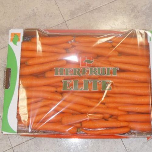 hortalizas herfruit