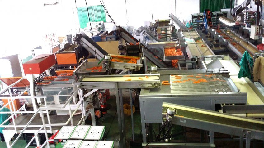 Logros del mayorista de hortalizas en Segovia