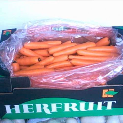 Caja con zanahorias preparadas para distribución
