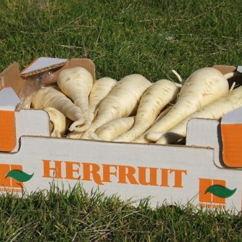 herfruit hortalizas