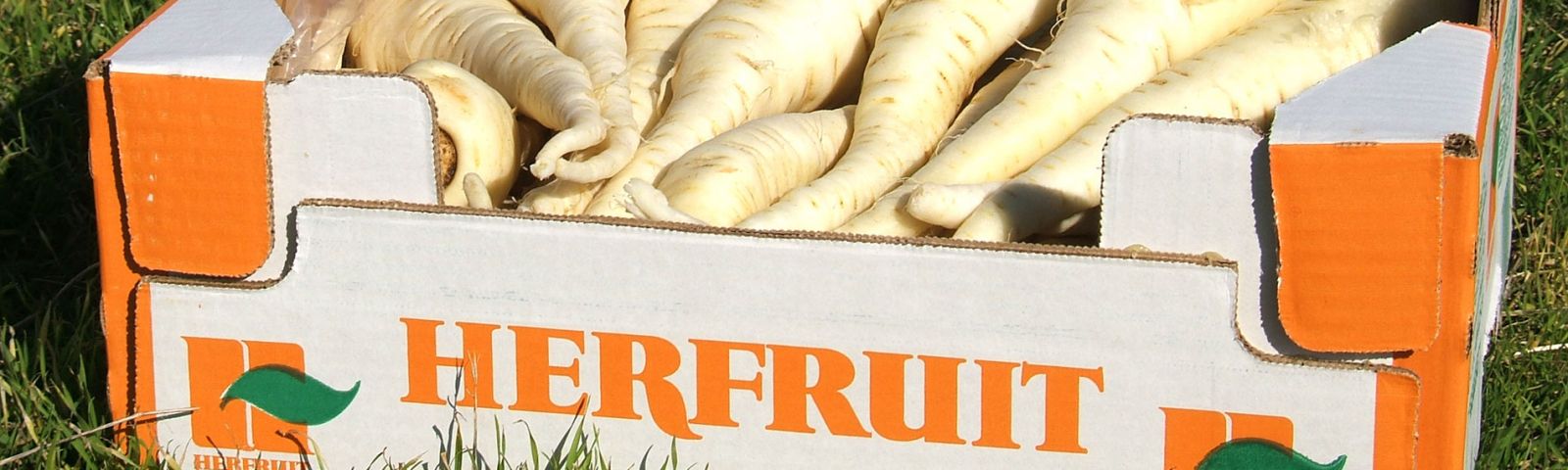 Mayorista de hortalizas en Segovia