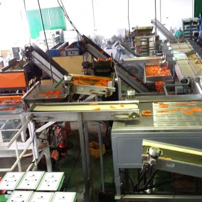 Logros del mayorista de hortalizas en Segovia