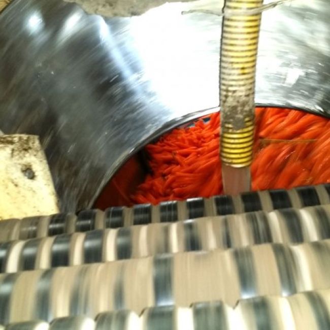 Filosofía de Herfruit