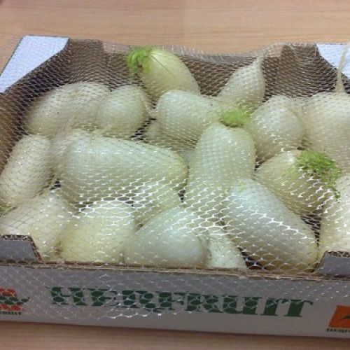 herfruit hortalizas